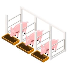 A simple illustration of a pig pen, or sty.