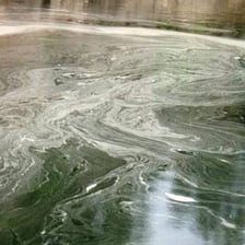 A thin visible layer floating on the surface of liquid.