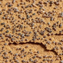 A close-up view of a visibly rough abrasive surface