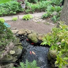 A small pond surrounded by countryside.