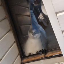 A cat positioned on top of a roof and a person observing something suspicious