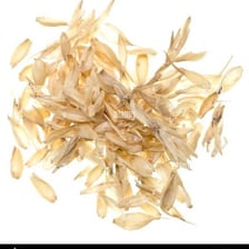 Wheat grains and their brown bran layers