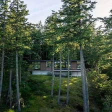 A house surrounded by trees.