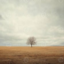 A solitary tree standing alone in an open field.
