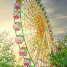 An amusement park with rides and attractions