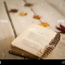 An open book displaying a page of traditional English poetry