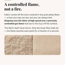 A small flame lightly scorching the surface of a piece of fabric.