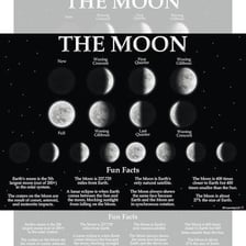 Illustration showing the changing phases of the Moon