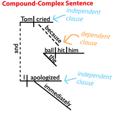 A simple diagram breaking a sentence into grammatical parts.