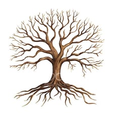 The thick trunk of a mature tree extending up into its branches.