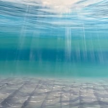 A view into the dark depths of the ocean.
