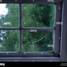 Several sheets of glass fitted into a window
