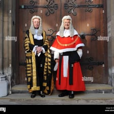 A British lord wearing formal ceremonial robes