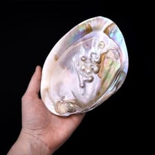 The shimmering inner surface of a shell showing nacre