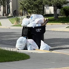 A person wheeling a household rubbish bin outside