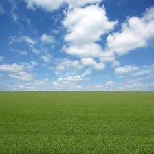 A broad green meadow under an open sky