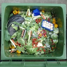 Discarded food illustrating waste