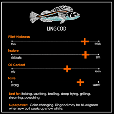 A ling, a long-bodied fish related to cod
