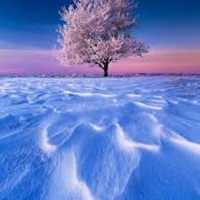 A landscape covered in frost and ice