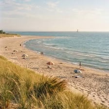 A broad sandy beach forming a strip along the sea.