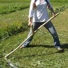 A traditional scythe with a curved blade and long handle