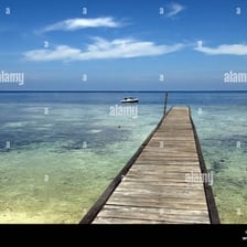 A wooden jetty projecting over calm water