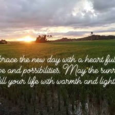 A sunrise over the horizon symbolising the beginning of a new day