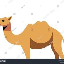 A camel shown in profile with its prominent hump
