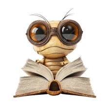 A reader engrossed in a book.
