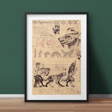A folklore-style depiction of a person transforming into a werewolf