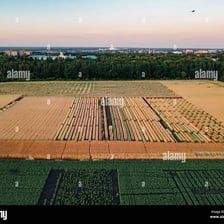 An aerial view of agricultural land divided into fields