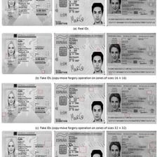 A visibly forged identity document beside a genuine-looking card.