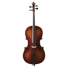 A cello standing upright with its bow