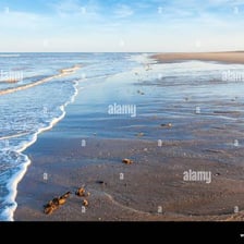 A shoreline shown at changing stages of the tide