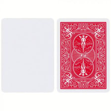 An expressionless poker player holding playing cards.