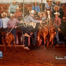 A rodeo rider on horseback in an arena with cattle nearby