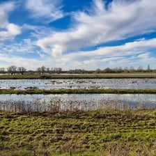 A flat, waterlogged fenland landscape
