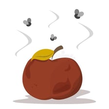 Rotten food giving off an unpleasant smell.