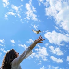 A hand opening to release a bird into the sky.