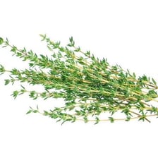 Fresh thyme sprigs displayed as a culinary herb.
