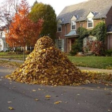 A large heap of fallen leaves