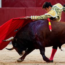A matador standing in a bullfighting ring.