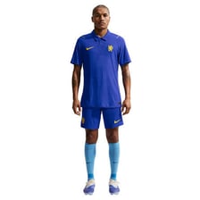 Chelsea football players wearing their blue kit