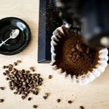Coffee beans being crushed in a grinder.