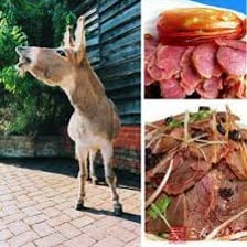A donkey braying next to a dish of braised food.
