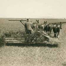 An antique farm machine designed to reap and bind crops