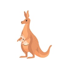 An illustration of a kangaroo being carried away from a southern direction