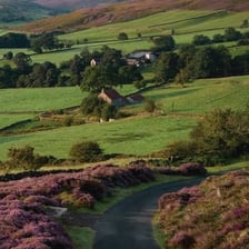 A windswept Yorkshire moorland landscape associated with Wuthering Heights.
