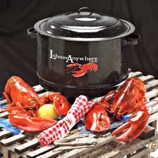A lobster shown in a cooking pot.