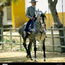 A traditionally dressed Spanish horseman riding a horse.